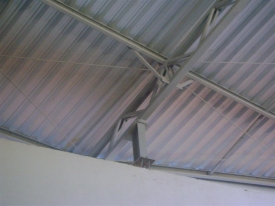 fotos agosto 2011 016